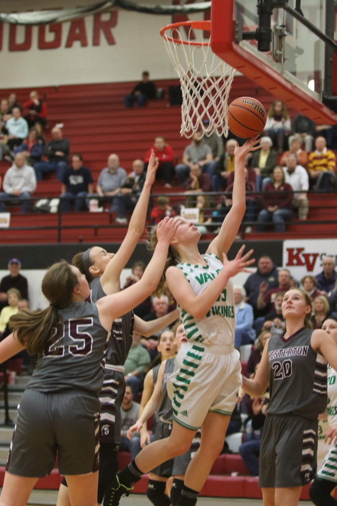 Gallery: Wheatfield Girls basketball sectional